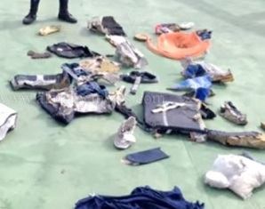 مبادرة دولية لـ الطيارين المصريين لدعم شهداء الطائرة المصرية